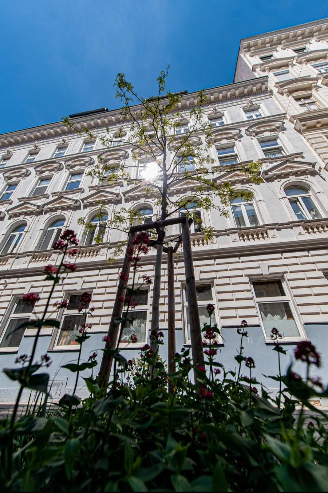 Vienna My City Apartment 2Bedroom エクステリア 写真